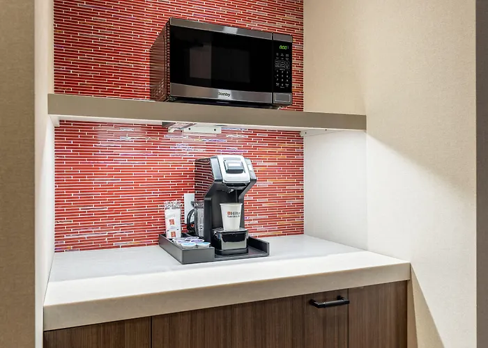 Hilton Garden Inn- Loop Hotel Chicago