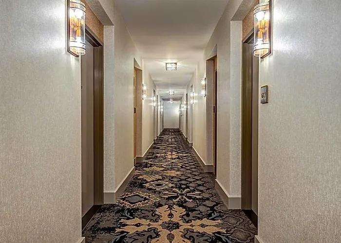 Hotel Hilton Garden Inn- Loop 3*