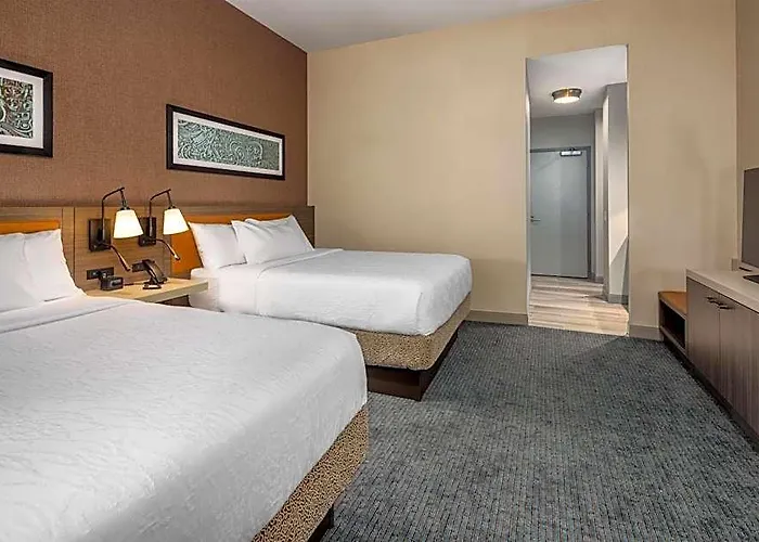 Hilton Garden Inn- Loop Hotel