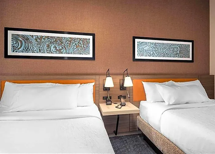 Hilton Garden Inn- Loop Hotel