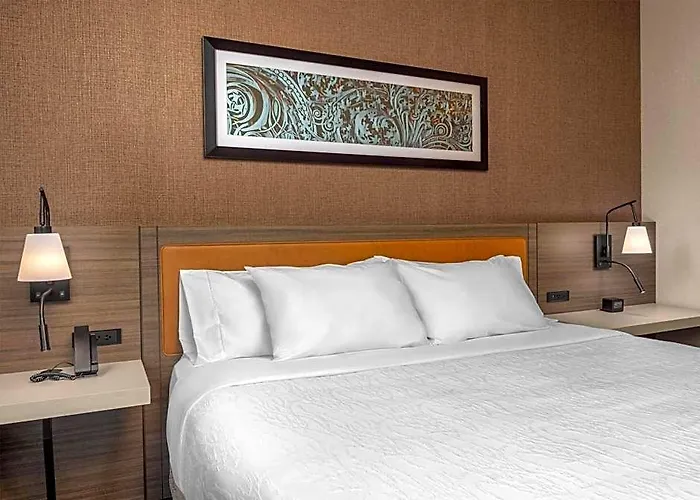 Hotel Hilton Garden Inn- Loop 3*