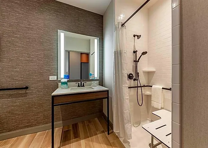 Hotel Hilton Garden Inn- Loop